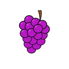 Illustration bunch of grapes fruit
