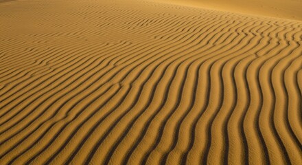 Fototapeta premium Sand Dune Landscape with Wavy Patterns in Desert Environment