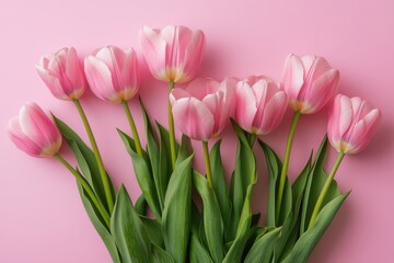 Fototapeta premium Charming pink tulip arrangement on delicate pastel backdrop ideal for celebrations like valentine's day, mother's day, and more. Perfect for floral lovers and event planners seeking inspiration