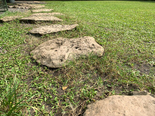 Stepping stones in a vibrant green lawn.