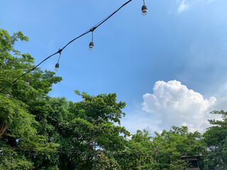 garden lights hanging against a backdrop of trees and a bright blue sky with a few white clouds