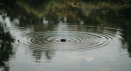 Rock Creating Ripples on Still Lake Water Surface with Reflections