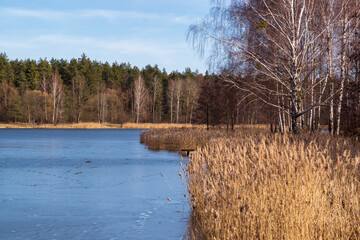 Przedwiośnie nad Zalewem Czapiel&oacute;wka w Puszczy Knyszyńskiej, Podlasie, Polska