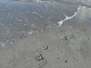 foot Prints on the beach
