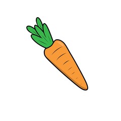 Illustration carrot vegetable of nutrition 