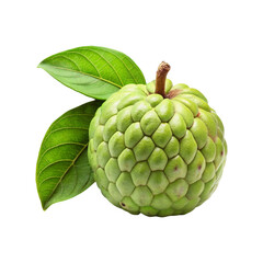 Fototapeta premium a green Cherimoya fruit with a leaf on a transparent background