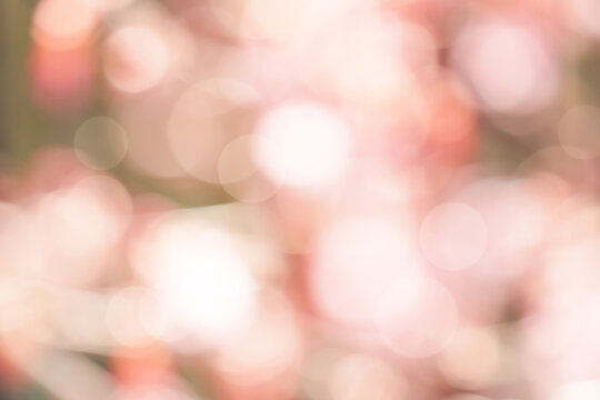 Fototapeta Pink and green Bokeh light background,Abstract background of circle texture pattern, blurry sunlight shining reflection from spring forest,Sweet or Dreamy design for Easter banner,Mother day card