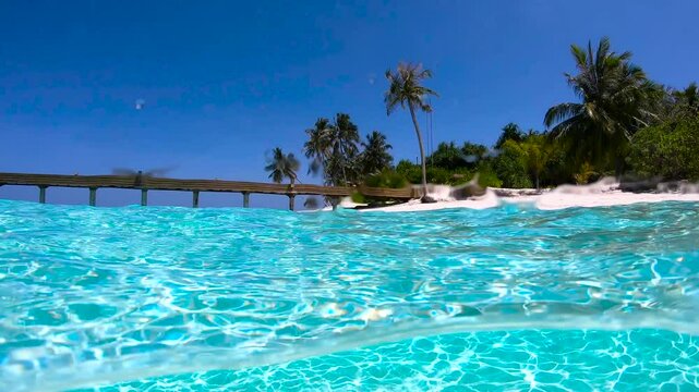 Underwater view of the tropical waters in the Maldives, showcasing clear blue water and sandy beach bordered by palm trees.