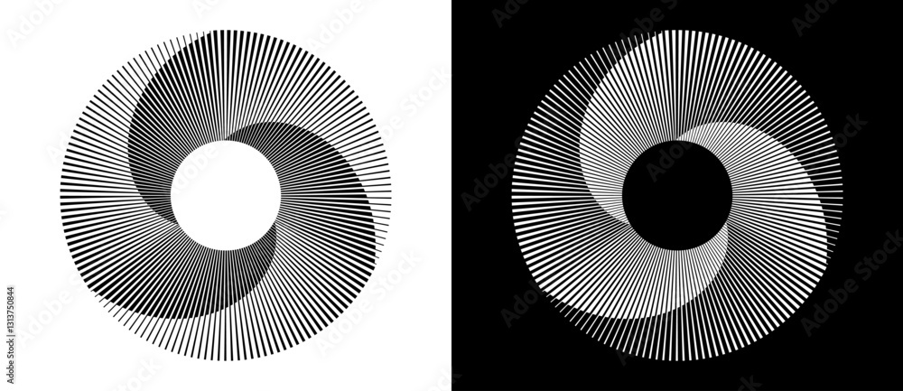 Leinwandbilder Set of circles with lines. Lines in one color with different thickness. Black spiral on white background and white spiral on black background. Dynamic design element, logo or icon.
