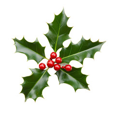 Holly Berry isolated on transparent background. PNG. Generated AI
