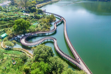 대구시 달서구 월광수변공원의 여름