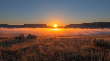 Sunrise over misty canyon, golden field, peaceful landscape, scenic wallpaper