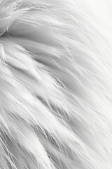 Obraz premium Soft white fur texture in abstract close-up