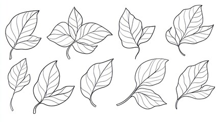 Line art leaf collection; design elements; white background; nature illustration; graphic design