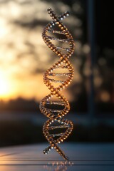 Close-up of a DNA model showing the double helix structure, suitable for educational and scientific purposes