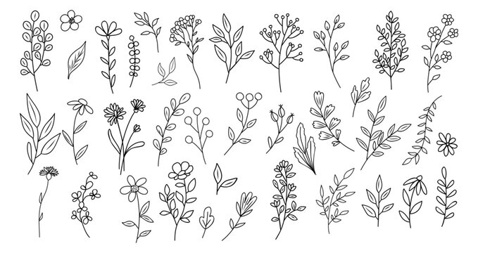 Set of tiny wild flowers and plants line art vector botanical illustrations. Trendy greenery hand drawn black ink sketches collection. Modern design for logo, tattoo, wall art, branding and packaging.