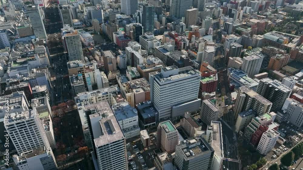 Poster 都市、市街地、空撮、商店街、町並み、街、ドローン、社会、暮らし、ビル、建設、俯瞰、前進、進歩、進化、時代、住宅、風景、ハイアングル、展望、景観、上から見た、見下ろす、景色、現代、都会、建築、ビル群、不動産、日本、観光、旅行、地域、地方、行政、交通、インフラ、産業、ビジネス、商業、道路、自動車、屋上、テクノロジー、技術、企業、店舗、密集、60p、経営