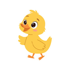Cute little yellow duckling cartoon vector Illustration on a white background