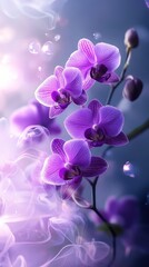 Beautiful vibrant purple orchids with subtle light and airy details