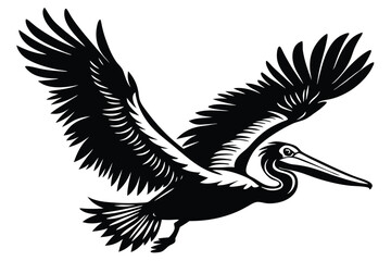 Obraz premium flying pelican silhouette