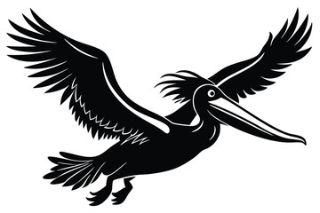 Fototapeta premium silhouette of pelican