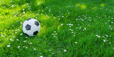 the soccer football lays on a green grass- big panorama