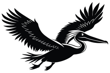Fototapeta premium silhouette of pelican