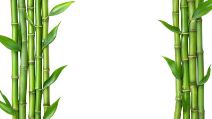 Bamboo stalks create a serene backdrop for relaxation and peace on a transparent background