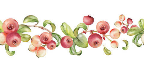 Cranberry lingonberry with green leaves on branch, ripe forest berry bearberry teaberry wintergreen cluster group, hand drawn in watercolor. Isolated seamless banner border for menu, farmers market