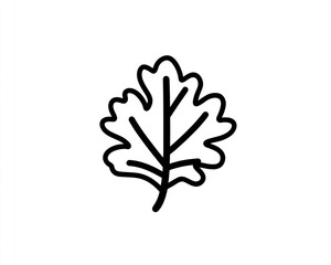 Obraz premium Parsley leaf line art, white background, cooking, recipe