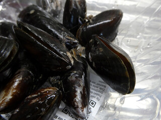 verdorbene Miesmuscheln