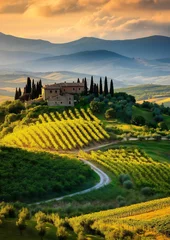 Fototapete Rund hills and vineyards and olive trees of Tuscany, Italy, at sunrise. The landscape is bathed in soft golden light with a rustic farmhouse nestled among cypresses and vines © GreenOptix