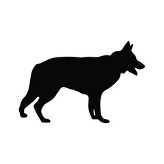 Obraz premium dashing dog silhouette
