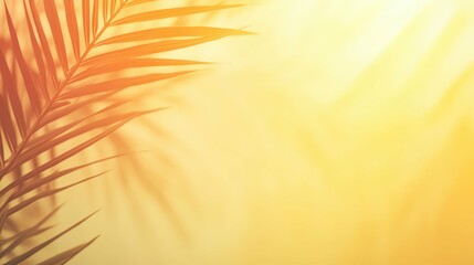 abstract background with shadows of desert plants cast by the sunset, soft brown and yellow tones, clean and natural minimalist composition