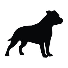 Obraz premium short legged dog silhouette