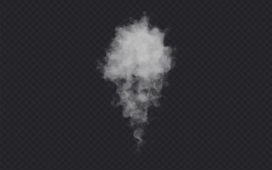 Fototapeta premium Smoke cloud isolated in transparent background. White realistic steam
