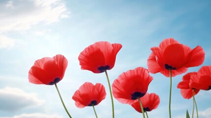 Obraz premium A time-lapse of blooming flowers, petals opening to sunlight, vibrant and mesmerizing