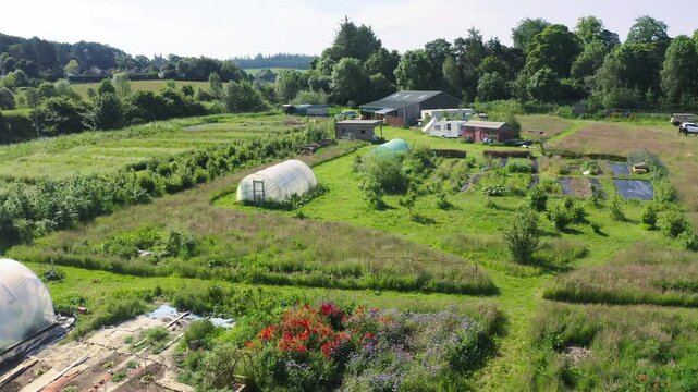 Aerial establishing drone shot of small organic farmland plantation with greenhouses and cultivated crops, ecological sustainable agriculture