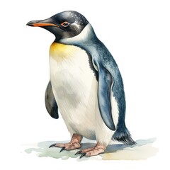 Obraz premium Watercolor Painting of a Penguin in a Natural Habitat