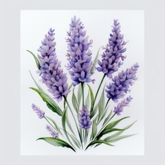 Naklejka premium Watercolor Painting of Lavender Flowers with Green Leaves
