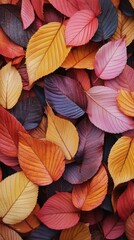 Colorful Autumn Leaves in a Vibrant Nature Background