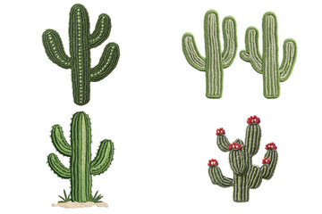 Cactus embroidery designs art studio digital art vibrant colors top-down view nature inspiration