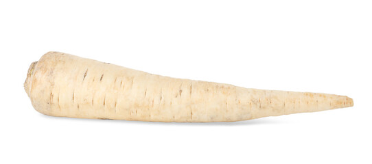 One raw parsley root isolated on white