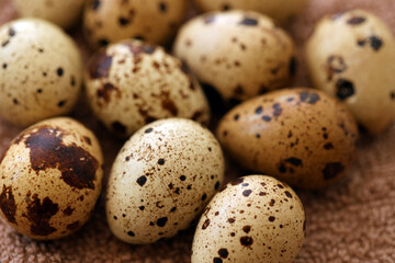 Few amount of quail eggs in small pile on brown towel background