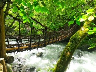 かづら橋 つり橋