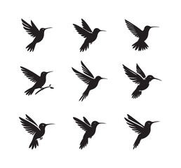 Hummingbird black solid silhouette bundle isolated on white background, bird clip art logo icon set