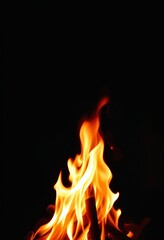Fototapeta premium fiery blaze illustration