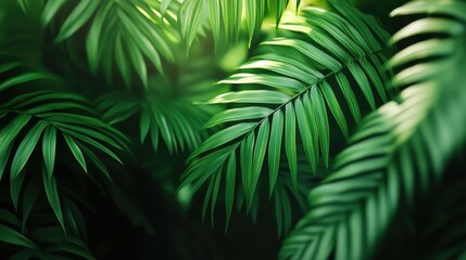 Lush green palm leaves create a vibrant natural background