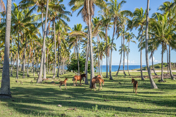 Moai at Ahu Tongariki, Easter island, Chile.
