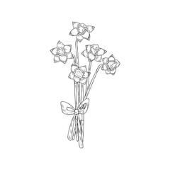 Daffodil spring flowers. Bouquet of narcissus. Good for posters, postcards, banners, ad, logoб labels and tags